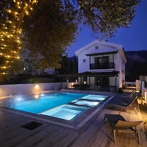 https://villa-galaxy.aegeanhotels.net